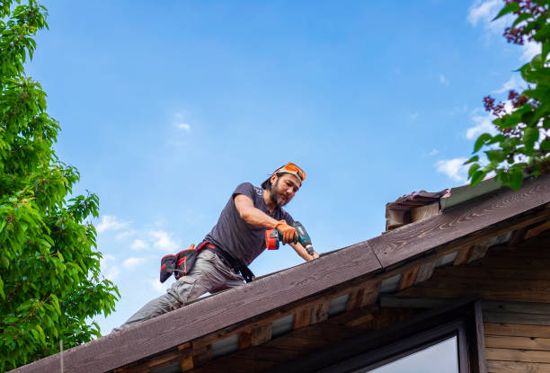 Best Roof Ventilation Installation  in Darby, PA