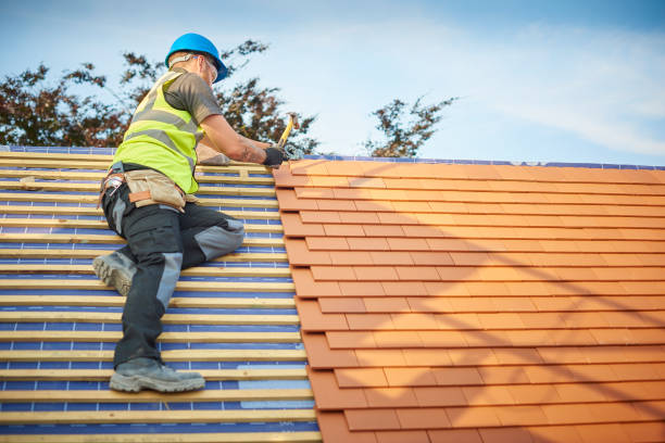 Best Green or Eco-Friendly Roofing Solutions  in Darby, PA